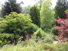 Photo A2 Fletcher Moss