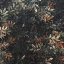 3.3 meters x CLARKE & CLARKE