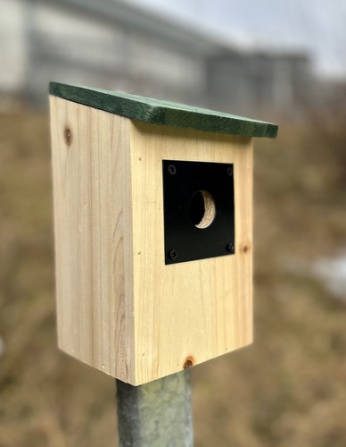 Aluminium bird box - bird, protectors