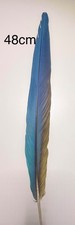 Parrot Macaw Feather Crafts
