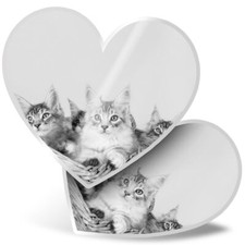 2 x Heart Stickers 15 cm - BW - Cute Maine Coon Kittens Cats #36970