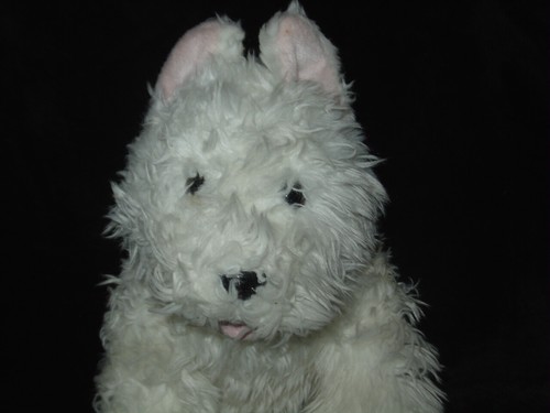Beautiful build bear white - build,