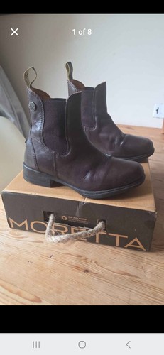 Shires moretta rosetta paddock - shires,