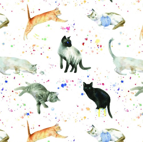Cat kitten wrapping - kitten, paper