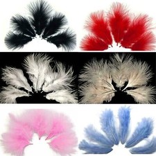 Small Marabou Feathers 50 Per
