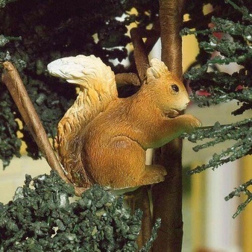 Nuttella the squirrel - nuttella, squirrel,