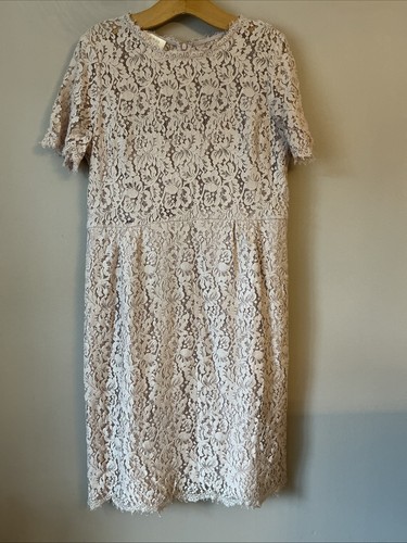 Hobbs beautiful pink lace - beautiful,