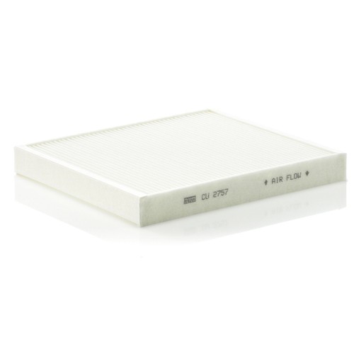 Particulate cabin pollen - particulate,