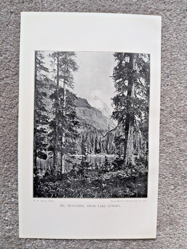 Mount hungabee from - mount, hungabee,