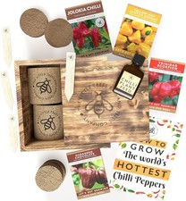 Grow Your Own Chilli Kits, The