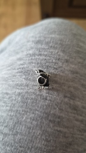 Genuine pandora penguin - penguin, skiing