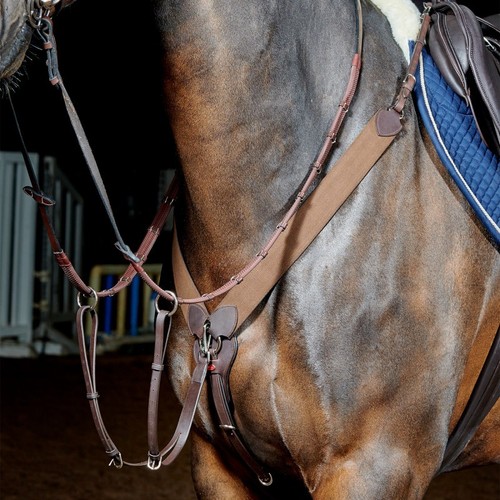 Whitaker ready ride - whitaker,