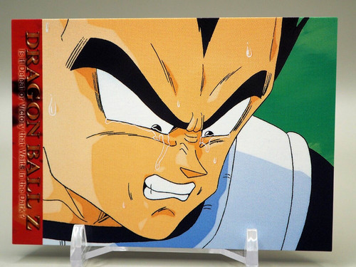 Vegeta dragonball amada - z,