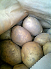 Cornish Potatoes .  Also Cornish washed potatoes.