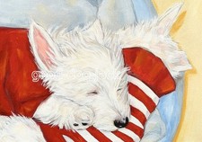West Highland Terrier WESTIE