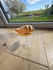 Handmade Conch Shell Wine