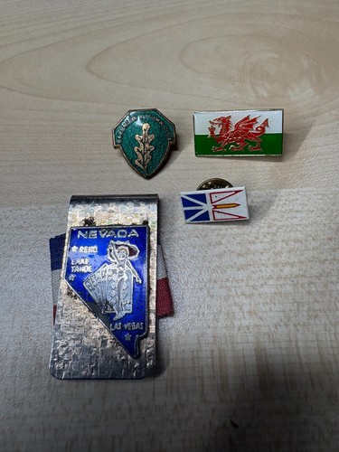 Vintage welsh flag pin - x,