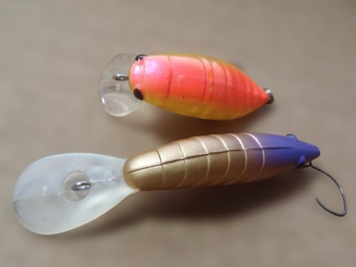 Classic trout proven - trout,