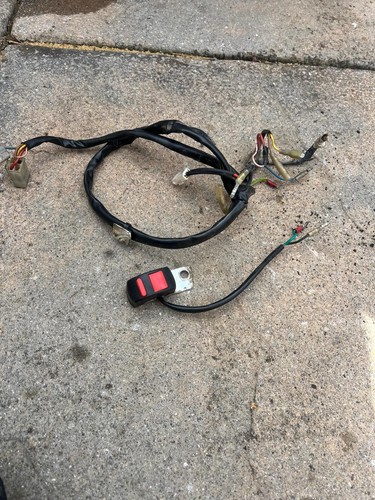 Jotagas wiring harness - wiring,