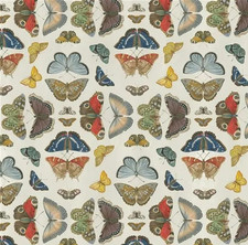 DESIGNERS GUILD CURTAIN FABRIC Mirrored Butterflies 3.6 M PARCHMENT JOHN DERIAN
