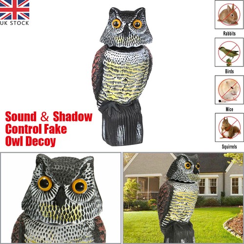 360 rotating real - real, decoy