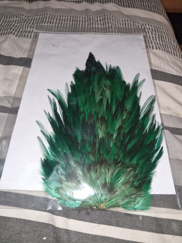 Large saddle cock - saddle, hackles