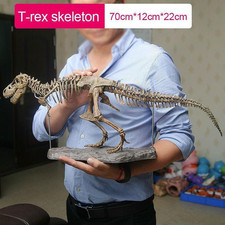 Large Diy Dinosaur Skeleton Toy T-Rex Model Assembled Fossilized Dinosaur