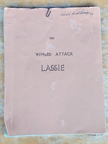 Lassie original show rudd - original,