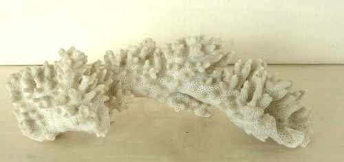Nice large piece vintage - of,
