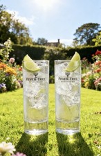 Fever Tree Glass X 2 Brand New