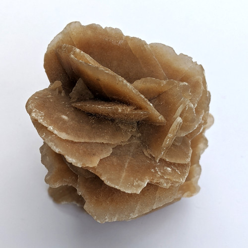 Raw selenite desert rose - selenite,