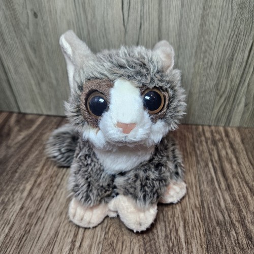 Ravensden galago bush baby - ravensden,