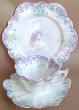 WILEMAN FOLEY TRAILING VIOLETS