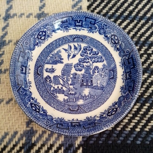 Midwinter willow blue - midwinter,