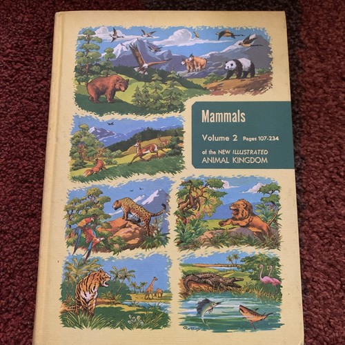 Vintage book illustrated - vintage,