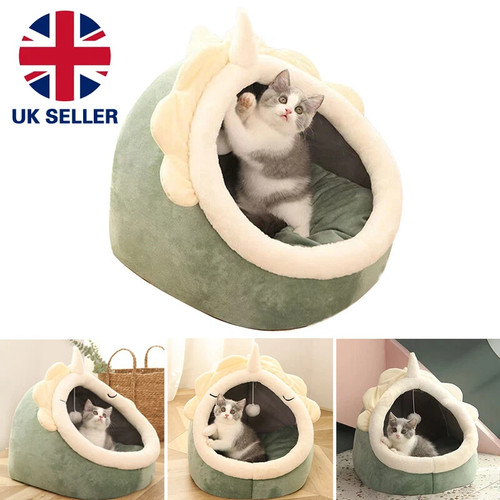 Pet cat warm - warm,