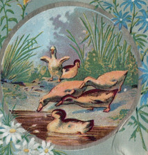 1880s benj curtaz steck arion - benj.,
