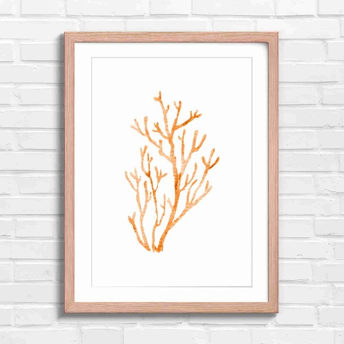 Aqua coral branch - aqua, art