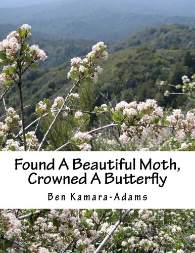 Found beautiful moth - moth, crowned