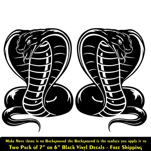 King cobra two pack 7 - pack, 6"