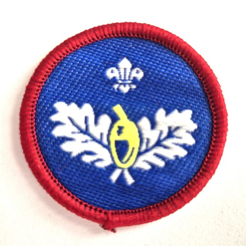 Scouts naturalist activity - scouts,