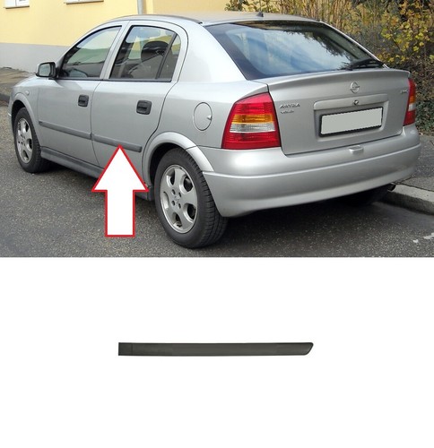 Rear door molding trim - rear,