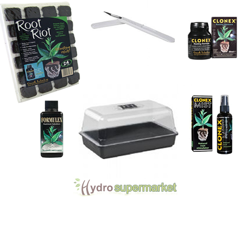 Large complete propagation - large,