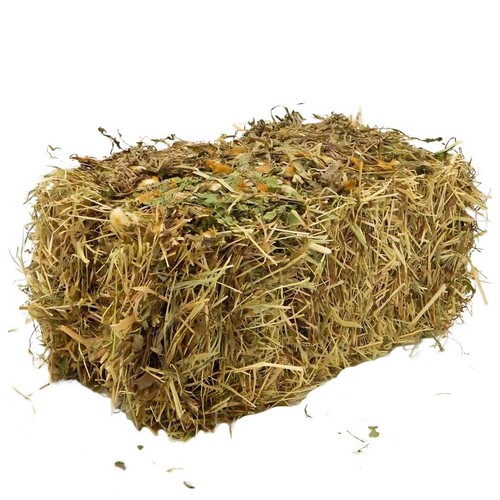 Mini hay bale for rabbits - bale,