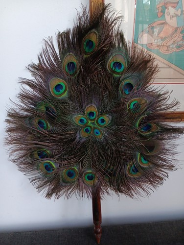 Vintage double sided peacock - double,