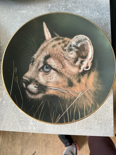 Tiger cub cubs - cub,