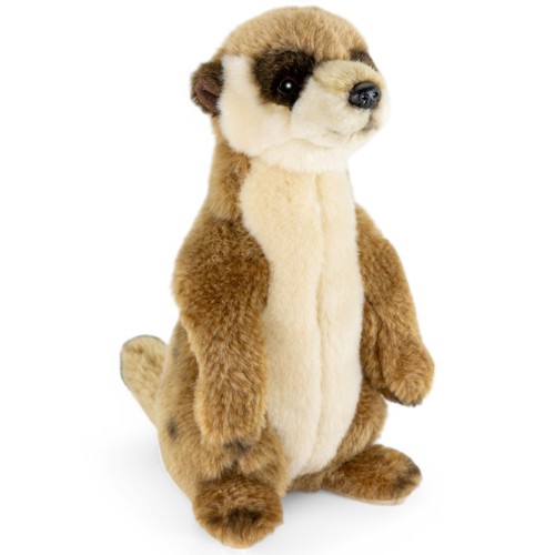 Meerkat approx cm stuffed - approx., 24