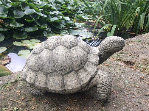 Stone garden tortoise turtle - garden, /