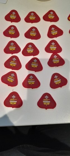 Vintage cub badge home - vintage,