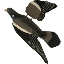 Spring wing pigeon decoy life - spring,
